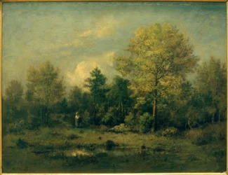 Landskap med en damm i skogen