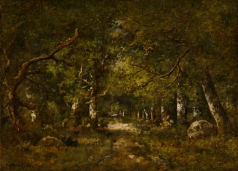 Skogsplats, 1874.