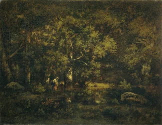Skogen Fontainebleau