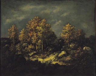 Jean de Paris-höjderna i Fontainebleauskogen, 1867