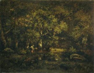Skogen i Fontainebleau