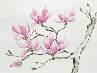 Nådiga rosa magnolior