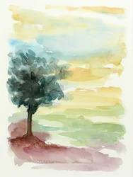 Solnedgång i Lone Tree