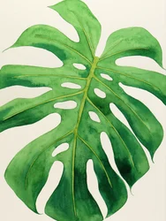 Tropiskt monstera-blad