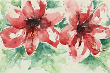 Ljusa röda blommor