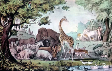 Adam som namnger varelserna, 1847.