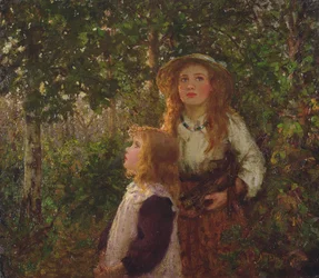 I skogen