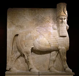 Bevingad tjur från hov VIII vid kung Sargon II:s palats, Khorsabad, 721-705 f.Kr. (gips?)