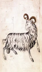 Sloane 3983 f3v Stjärntecknet Stenbocken (vellum)