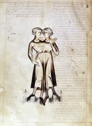 Sloane 3983 f.8v Ritning av Tvillingarna, från en översättning av en persisk astrologisk avhandling av Jafar ibn Muhammad (vellum)