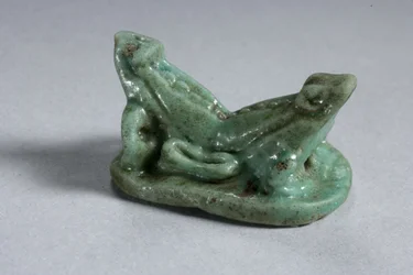 Scaraboid av två sammanfogade grodor, 18:e-19:e dynastin, 1540-1186 f.Kr. (fajans) (se 270367 för undersida)