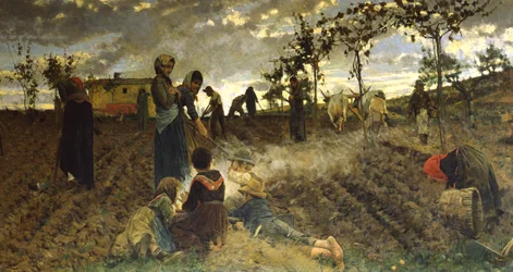 Sådd i Toscana