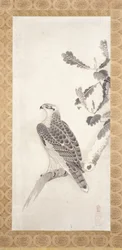 Hawk Perched On A Branch (bläck på papper)