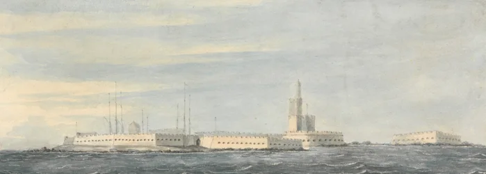 Mullvadshuvud, Alger