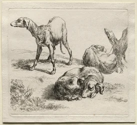 Animalia: Tre jakthundar