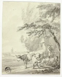 Man vallar kor och får