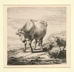 Uppsättningen av kor, med mjölkpigan