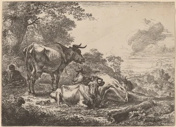 Vilande kor