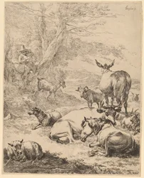 Vilande flock