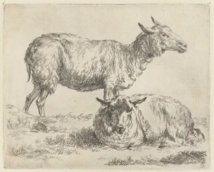 Staand en liggend schaap Schapen (serietitel) Djur som dras till liv och trycks i vatten av stark luft av Studio and Art of Nicolai Berchem (serietitel)