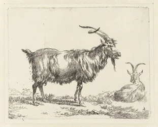 Två getter Geiten (serietitel) Djur som dras till liv och trycks i vatten av stark luft av Studio and Art of Nicolai Berchem (serietitel)