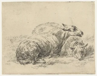 Twee ligende schapen Schapen (serietitel) Djur dragna till liv och tryckta med vatten för stark luft av Studio and Art of Nicolai Berchem (serietitel)