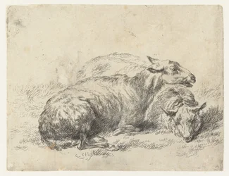 Twee ligende schapen får (serietitel) Djur dragna till liv och tryckta med vatten för stark luft av Studio and Art of Nicolai Berchem (serietitel)