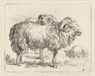 Twee rammen en een schaap Schapen (serietitel) Djur som dras till liv och trycks i vatten av stark luft av Studio and Art of Nicolai Berchem (serietitel)