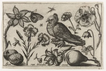 Blommor, ett päron och en duva Fåglar, blommor, insekter etc. (serietitel)