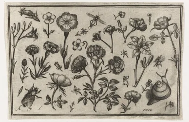Blommor, en fluga och en snigel Fåglar, blommor, insekter etc. (serietitel)