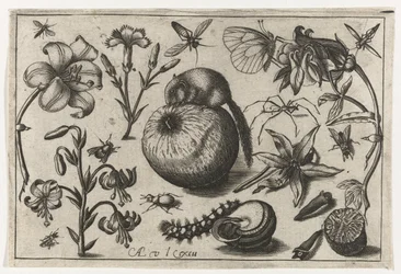 Blommor och en mus på ett äpple Fåglar, blommor, insekter etc. (serietitel)