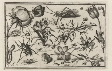 Blommor och insekter Fåglar, blommor, insekter etc. (serietitel)