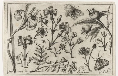 Blommor och fjärilar Fåglar, blommor, insekter etc. (serietitel)