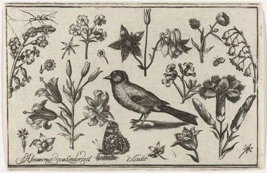 Blommor, fjäril och en fågel Fåglar, blommor, insekter etc. (serietitel)