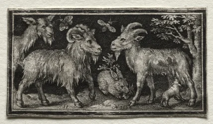 Getter och harar, 1594.