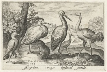 Stork, trana, häger och skedstork Fåglar och insekter (serietitel)