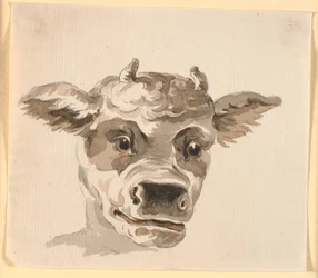 Minotaurus huvud