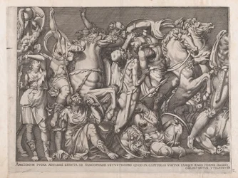 Mirror of Roman Magnificence: Battle of the Amazons, 1559., 1559.