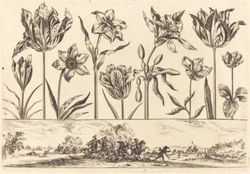 Blomstertryck nr.2