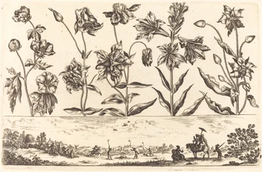 Blomstertryck nr.6