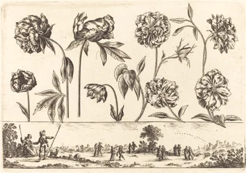 Blomstertryck nr.7