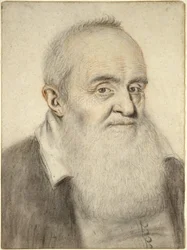 Head of a Bearded Man (färgade kritor på papper)