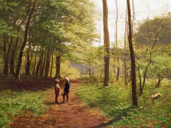 En promenad i skogen