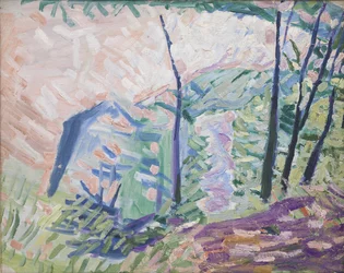 Skog nära Bagsværdsjön