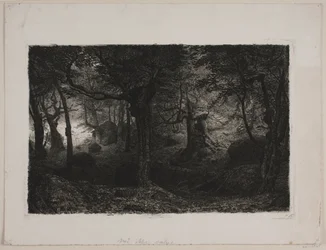 Trollskogen