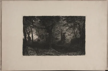 Trollskogen