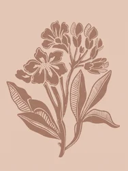 Jordnära botaniska blommor