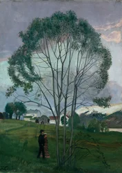 Juninatt och sälgträd