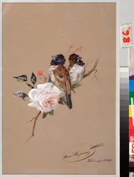 Two Birds On A Rose - Verk av Nikolai Yegorovich Sverchkov (Nicolas Swertschkoff) (1817-1898), akvarell och bläck på papper