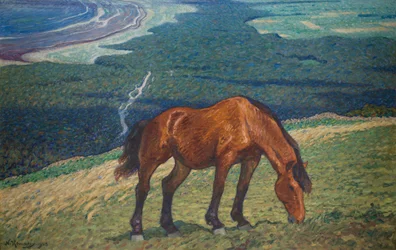 Betande häst